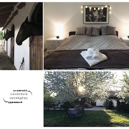 Levendula Vendégház Borsodivánka Exterior foto